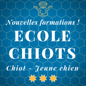 Ecole des chiots - Chiot - Jeune chien - Cours Chiots - Education Canine Vaud - Programme des cours pour chiots - Nyon / Morges / Lausanne / Montreux